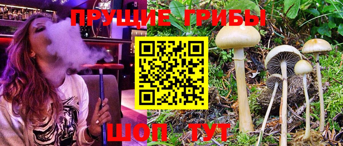 Галлюциногенные грибы мухоморы Тимашёвск