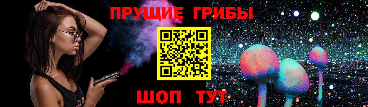 Псилоцибиновые грибы GOLDEN TEACHER  Вход с VPN  Тимашёвск 